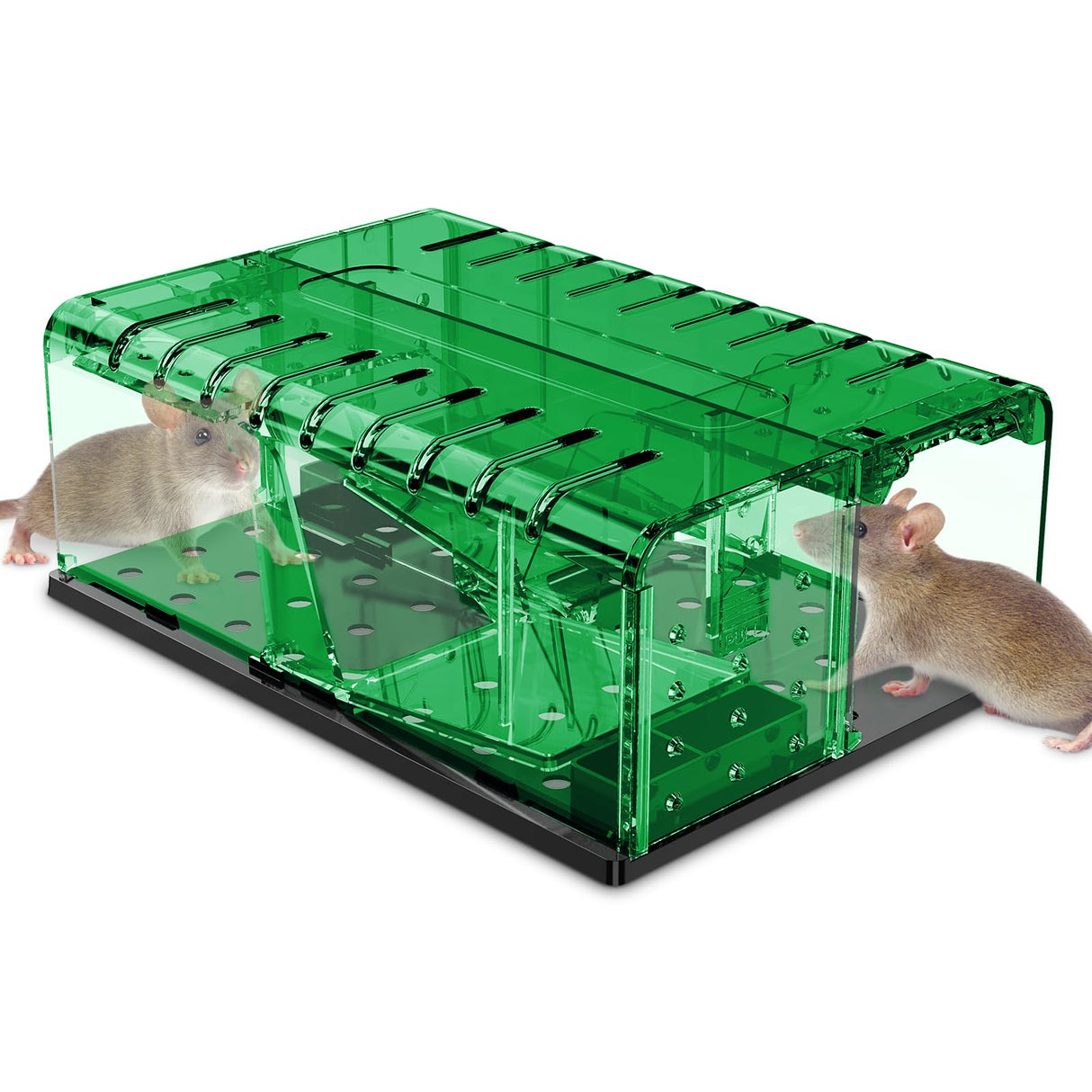 PZQZMAR Mouse Traps, Humane Mouse Trap, Easy to Set, Mouse Catcher Quick Effective Reusable and Safe for Families(2-in-1)-Green