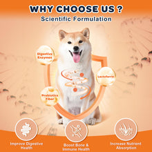 Load image into Gallery viewer, NATURE TARGET Glucosamine Joint Supplement for Dogs, Chondroitin, Omega-3, MSM, Hemp, Turmeric for Pain Relief, Dog Joint Supplement with Calcium for Bone Health, 120 Chicken Flavored Crunchy Chews