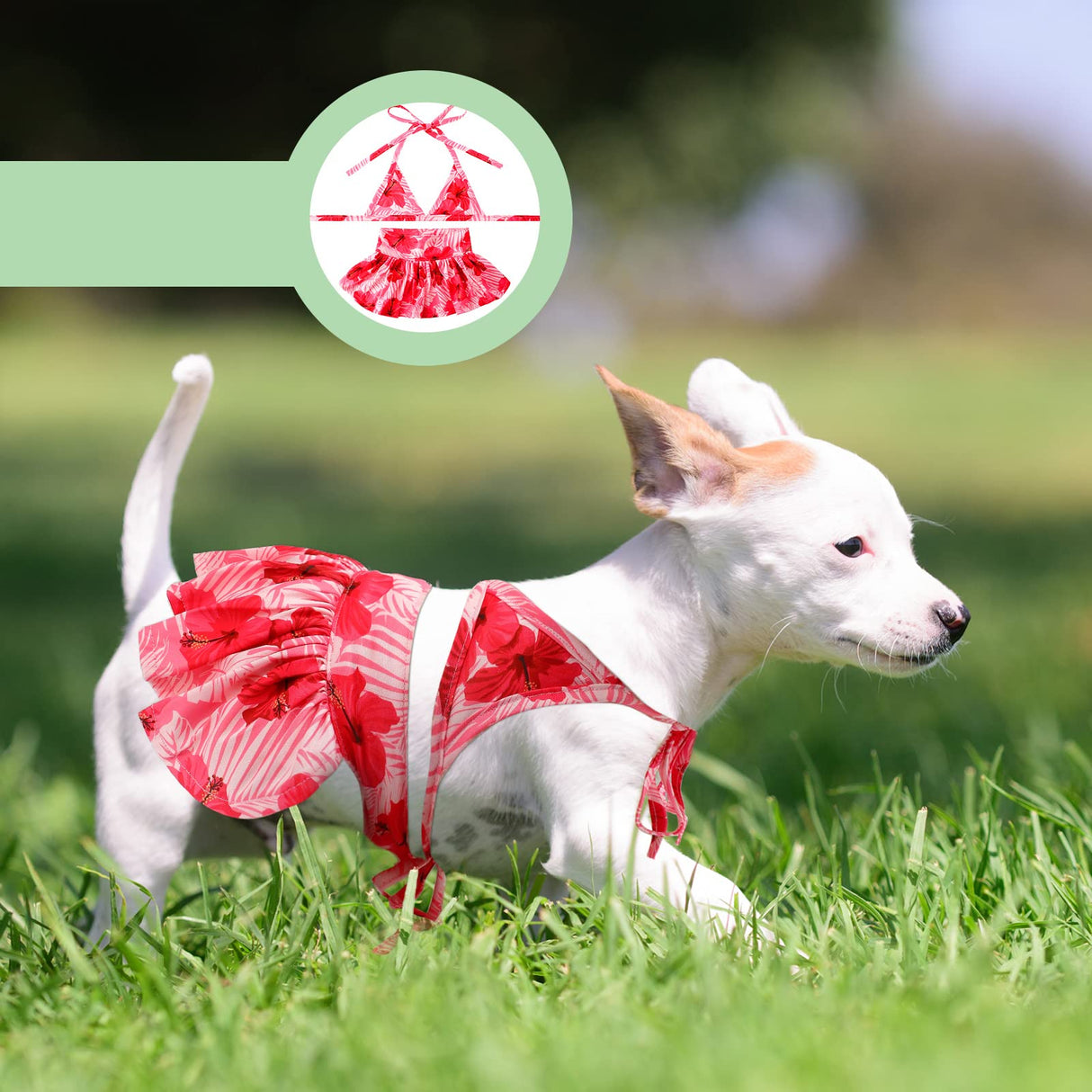 Amylove 4 Pack Summer Themed Dog Bikini for Small Dogs Bathing Suits for Puppy Doggies Swimsuit Dog Bathing Dress Pet Skirts Hawaii Puppy Dresses for Girl Small Dogs Cats Beach