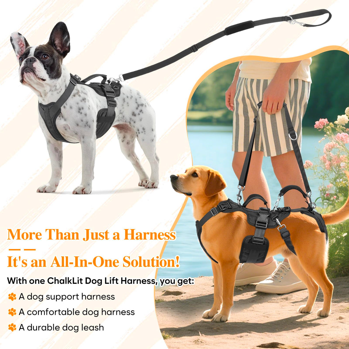 Dog Lift Harness, Dog Support & Recovery Sling for Full-Body & Hind/Front Leg β Pee-Able Design for Large/Medium Dogs β All-in-One Ideal Assistance for Senior, Disabled, Arthritic & ACL Canines (XXL)