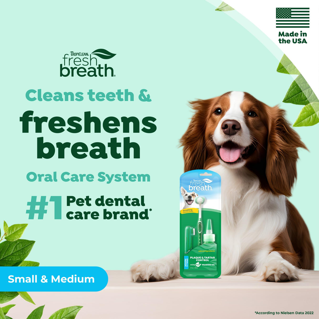TropiClean Fresh Breath Toothbrush and Toothpaste Kit for Dogs, Teeth Cleaning Kit for Plaque & Tartar Removal, Breath Freshener, Dog Dental Care