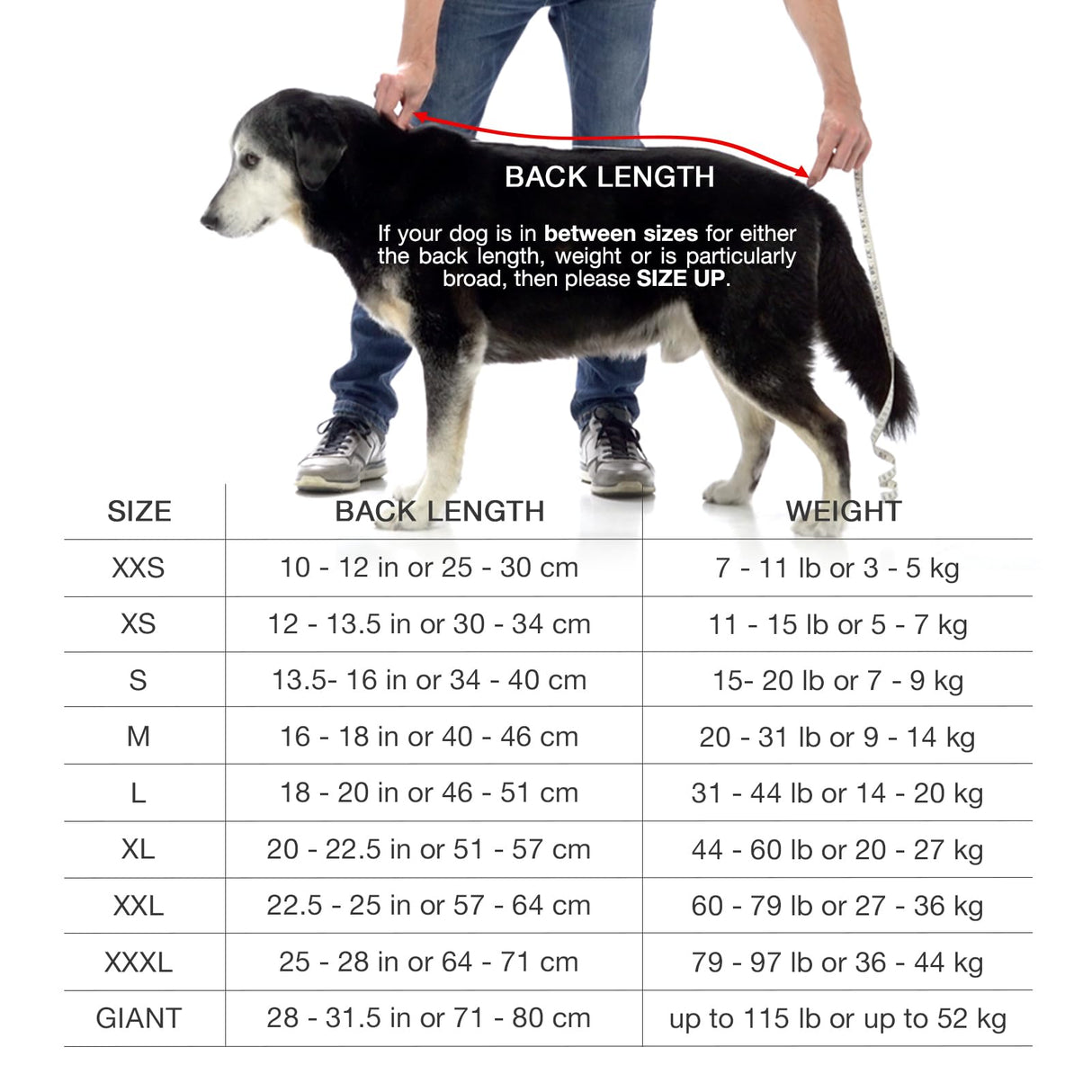 Lucky Pooch® Dog Robe - Luxurious Dog Bathrobe - Ultra Absorbent Dries Your Dogs in Minutes! Double-Layer, Super Soft Towel and Bath Robe All in One (XXL, Dusty Pink)