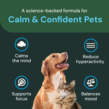 Load image into Gallery viewer, VetriScience Veterinary Strength Calm & Confident Chews - Stress Supplement for Pets - Supports Brain Function for Cats & Dogs - with L-Theanine, Thiamine & More - 60 Count