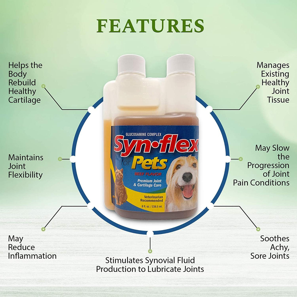 Concentrated Liquid Glucosamine for Dogs & Cats with Chondroitin: 1500mg High Potency, Boswellin, Yucca, Manganese for Mobility Support - USA Made, Beef Flavor