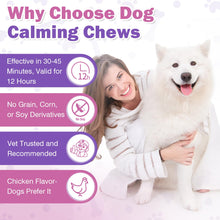 Load image into Gallery viewer, Calming Chews for Dogs 200pc Dog Calming Treat and Bites with Melatonin - Anxiety and Stress Relief Treats for Dogs Puppy Sleep Aid Calm Dog with Noise,Thunder,Barking,Separation,Chewing
