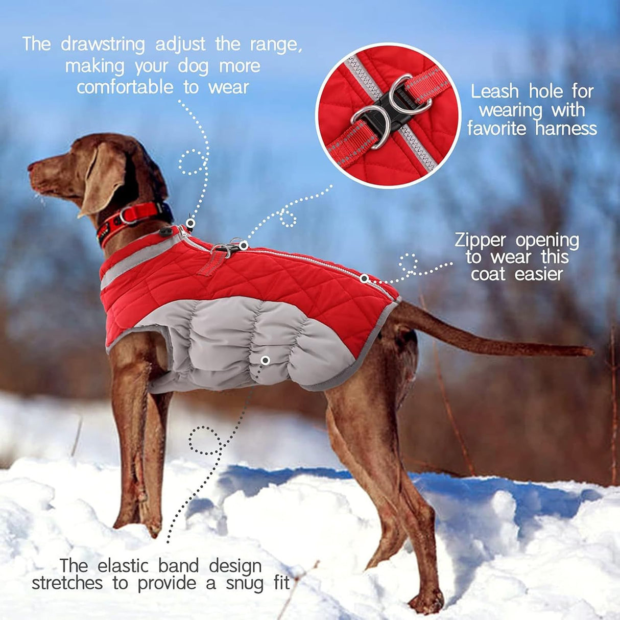 Haofy Dog Winter Coat, Reflective Strip Zipper Windproof Warm Jacket for Small Medium Large Dogs, with Built in Safety Belt for Cold Weather (S)