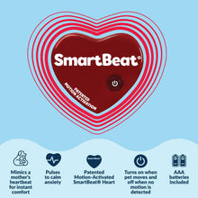 Load image into Gallery viewer, Snuggle Puppy Junior Heartbeat Puppy Toy - Heartbeat Puppy for Dogs - Pet Anxiety Relief and Calming Aid - Comfort Dog Toy - Behavioral Training and Sleep Aid Cuddle Buddy - Black