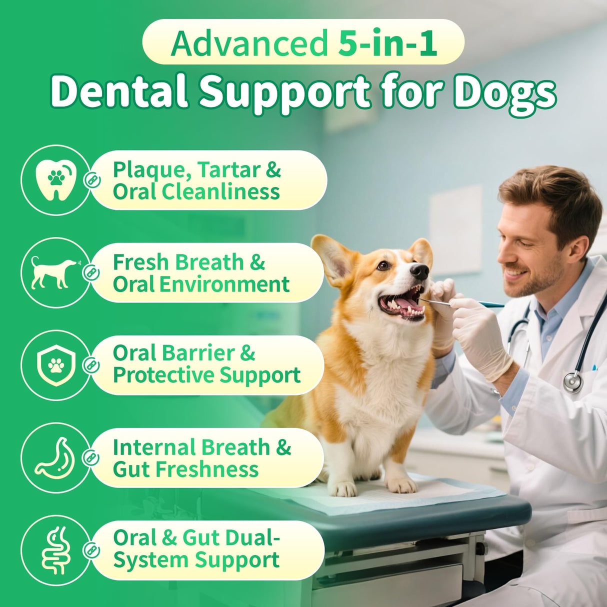 POPPAW Dog Dental Powder – Teeth Cleaning Powder with 6B CFU Probiotics, Enzymes & Antioxidants, Plaque & Tartar Off, Fresh Breath Support, No Brushing Oral Care, Mint Chicken Flavor, 75 Servings