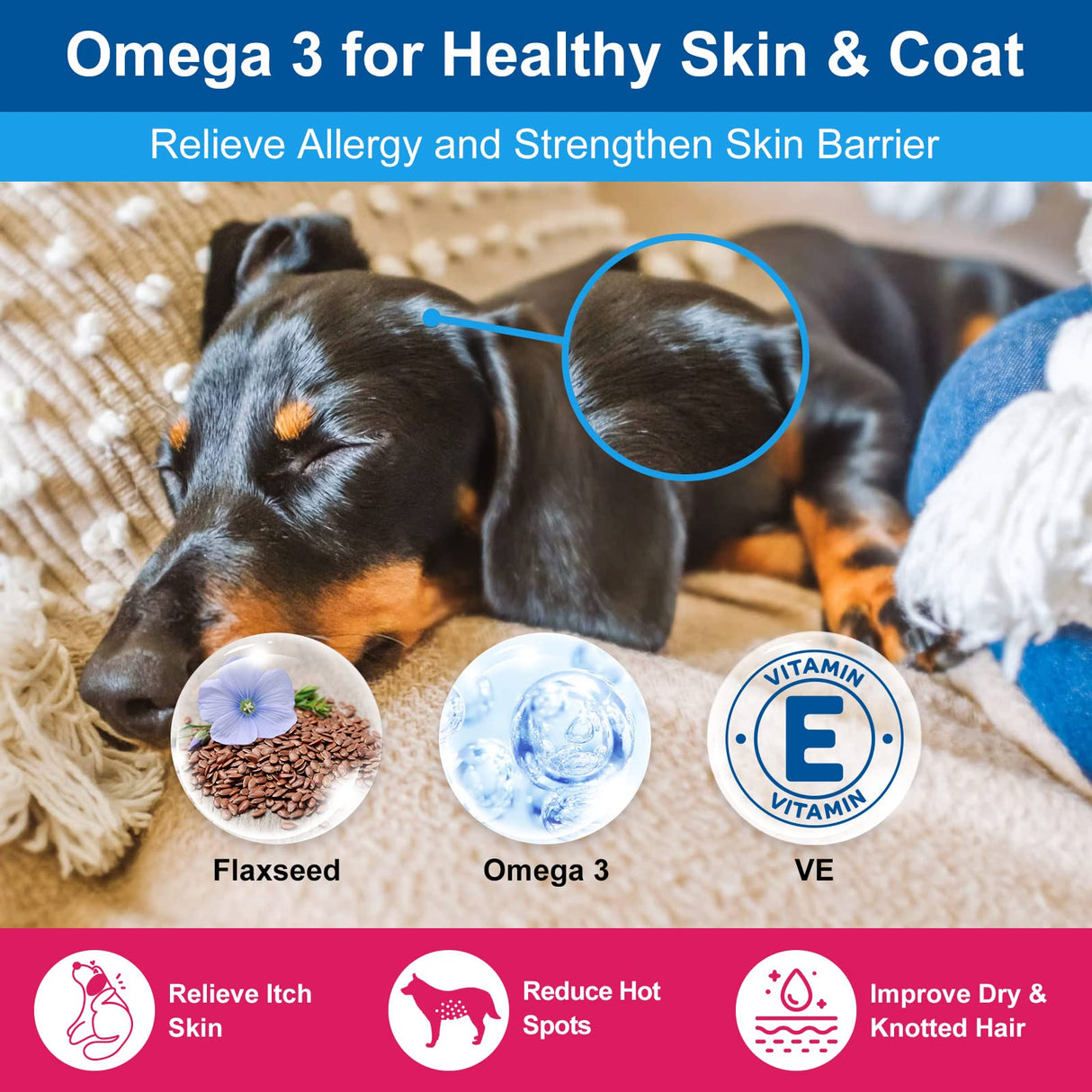 NATURE TARGET Dog Vitamins Powder, Probiotics & Digestive Enzymes for Gut Health, Glucosamine & Chondroitin & Omega 3, Complete Supplement for Homemade Dog Food, Joint & Skin & Immune Support