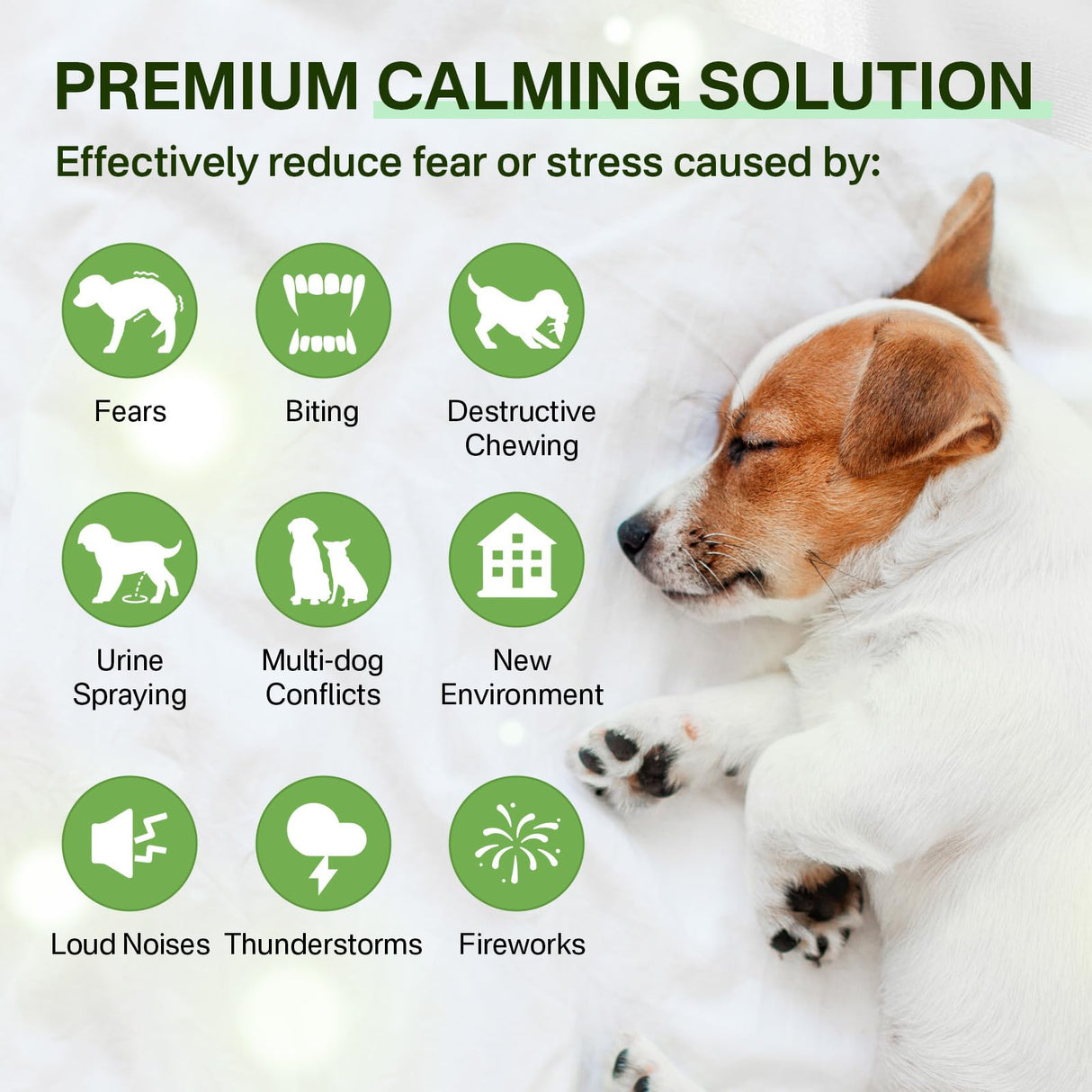 puyrzoe Dog Calming Diffuser with Timing Functions, 6-in-1 Dog Anxiety Relief Diffuser Kit, 120-Day Anxiety Relief, Stress Relaxation Pheromones Calming for All Dogs (2 Diffusers + 4 Refills)