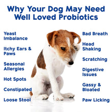 Load image into Gallery viewer, Well Loved Probiotics for Dogs, Dog Probiotics, Made in USA, Vet Developed for Gut Health, Yeast Balance, Itchy Skin, Diarrhea & Gas Relief, Chews with Prebiotic & Digestive Enzymes, Digestive Support