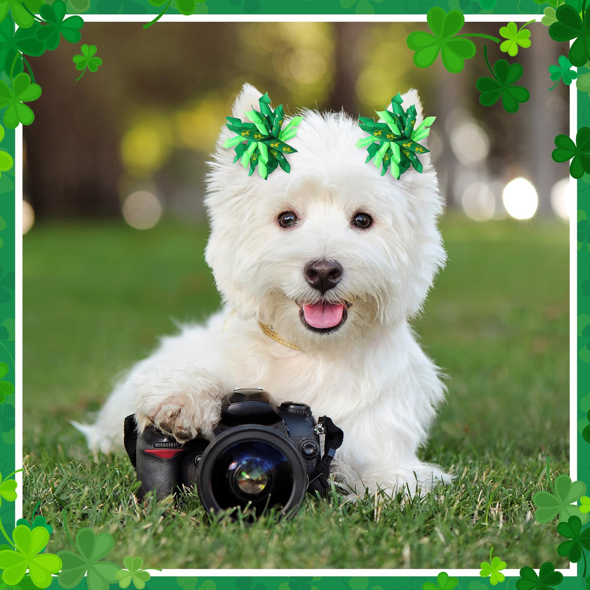 Kacctyen 150 Pcs St. Patrick's Day Dog Bows with Rubber Bands St. Patrick's Day Flower Yorkie Dog Hair Bow Pet Hair Accessories for Small Medium Puppy Bunny Pet Cat(Heart,Clover)