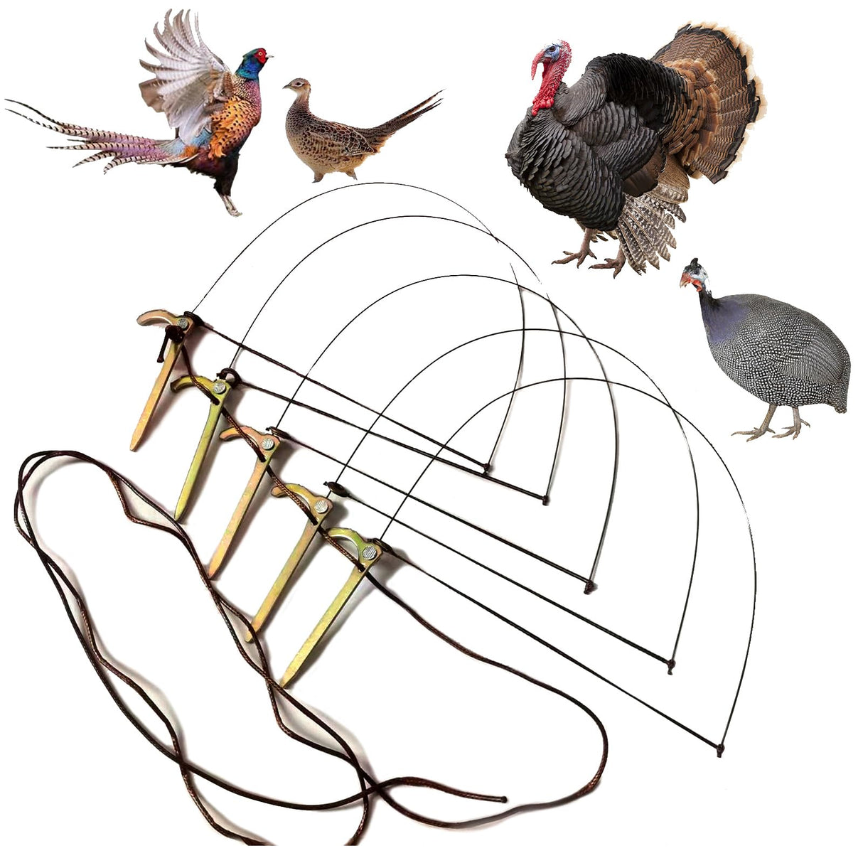 Professional Bird Trap for Chicken, Pheasant,Wild Duck, Partridge Mallard and Other Medium-Sized Birds Tying Birds' feet Won't Hurt Them