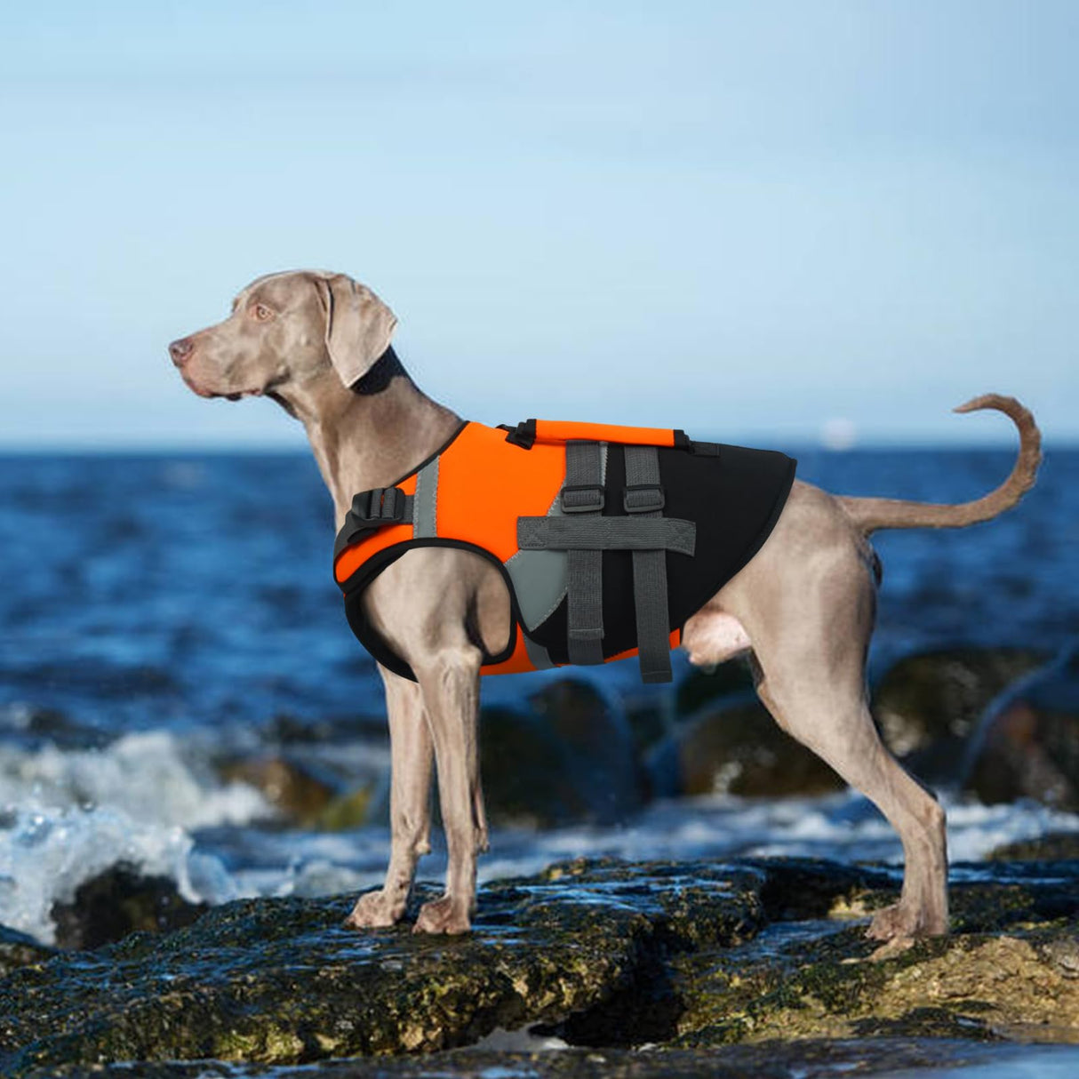 Kuoser Dog Life Jacket with Rescue Handle, High Flotation Dogs Swim Vest with Reflective Strips,Adjustable Dog Life Vest for Swimming, Boating, Pool&Beach, Doggy Lifejacket for Small Medium Large Dogs