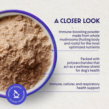 Load image into Gallery viewer, Wonder Paws Organic Turkey Tail Mushroom for Dogs – Powerful Turkey Tail for Dogs Mushroom Powder for Immunity, Respiratory, Digestion & Cellular Health–with Beta Glucans & Polysaccharides- 2.12 oz