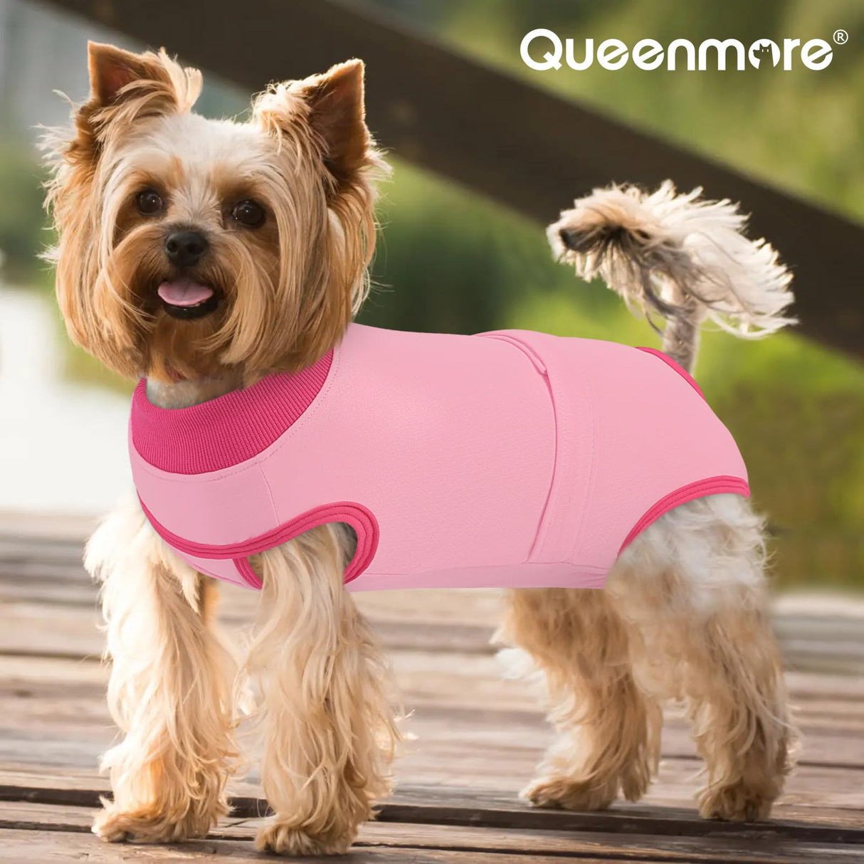 Queenmore Recovery Suit for Dogs Cats After Surgery, Cat Surgical Recovery Suit Onesie,Professional Pet Recovery Shirt, Prevent Licking Dog Body Suits, Surgical Clothes for Abdominal Wounds, Pink,2XL
