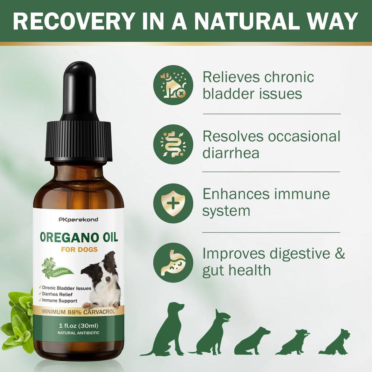 Oregano Oil for Dogs, Over 88% Carvacrol, Strengthen Bladder Function, Dog Diarrhea Relief, Natural Immune Support for Dogs, Promote Overall Health, Wild Mediterranean Oregano Oil Drop for Dog 1 fl.oz