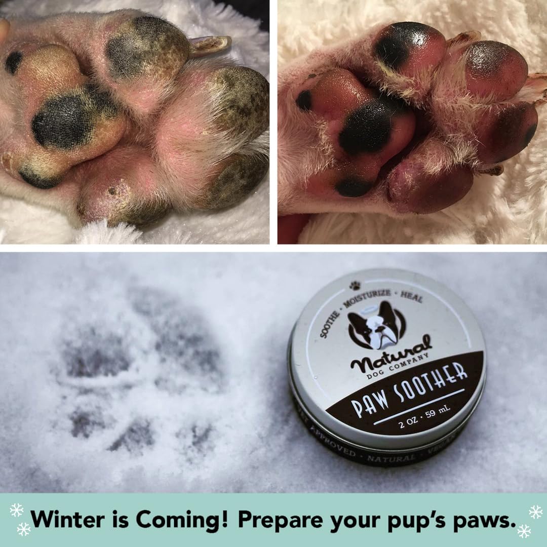 Natural Dog Company Paw Soother Balm & Wax - Dog Paw Balm & Moisturizer for Dry, Cracked Paw Pads, Helps Moisturize & Condition Winter-Worn Paws, Coconut Oil & Calendula, Daily Paw Care, 2 oz Stick