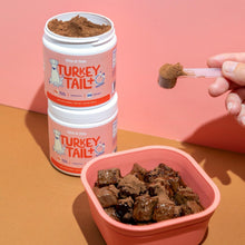 Load image into Gallery viewer, Fifth & Fido Turkey Tail Mushroom for Dogs – Turkey Tail for Dogs Mushroom Supplement with Immune Support for Lipoma, Lumps & Bumps – Premium Pet Vitamins and Supplements Made in USA, 200 Servings