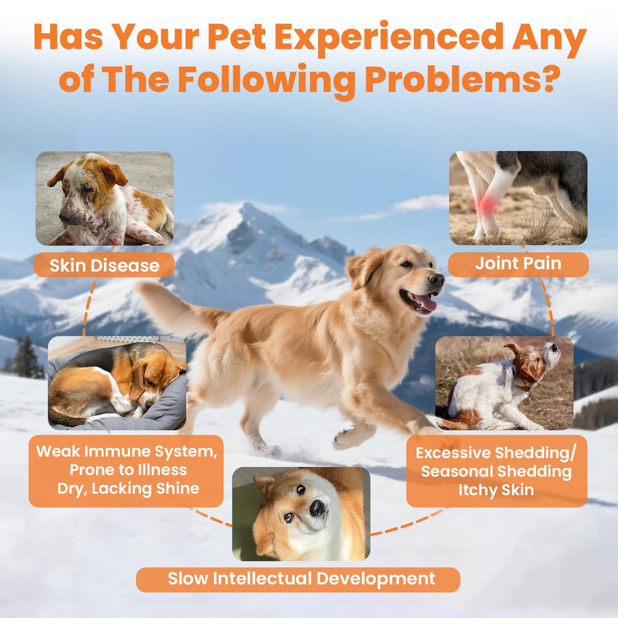 VUN Salmon Fish Oil for Dogs & Cats,Omega 3 Fish Oil Supplement for Itchy Dry Skin Coat,Allergy Relief,Joints&Paws,Brain,Eyes&Heart Treatment,Wild Liquid Fish Oil for Dogs by Pump with EPA DHA–16 oz