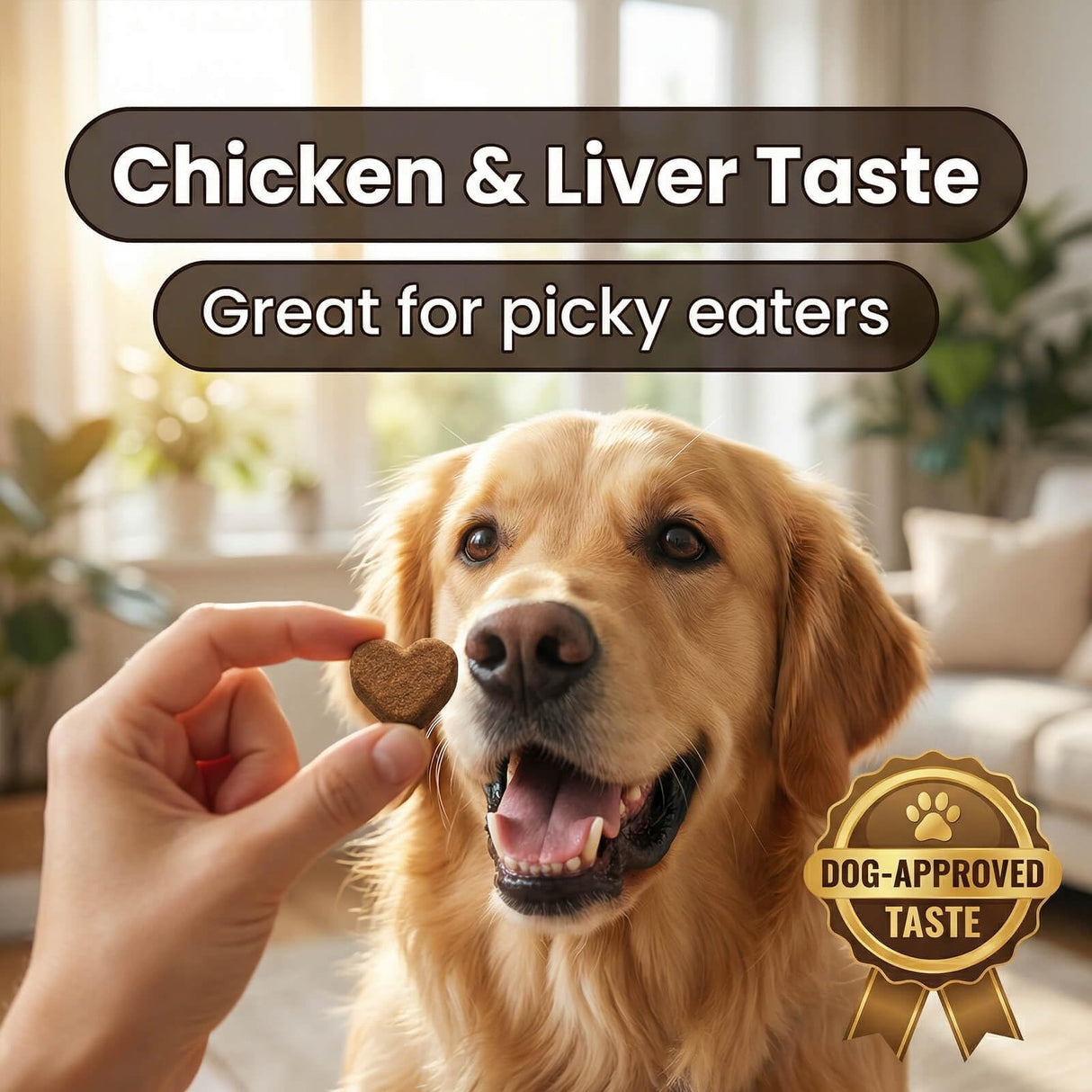 QUEPEYKI Anal Gland Support Soft Chews for Dogs, 90 Count – Pumpkin Seed Fiber, Psyllium & Dandelion Root with Probiotics (800M CFU) – Supports Firm Stools & Digestive Balance – Chicken & Liver