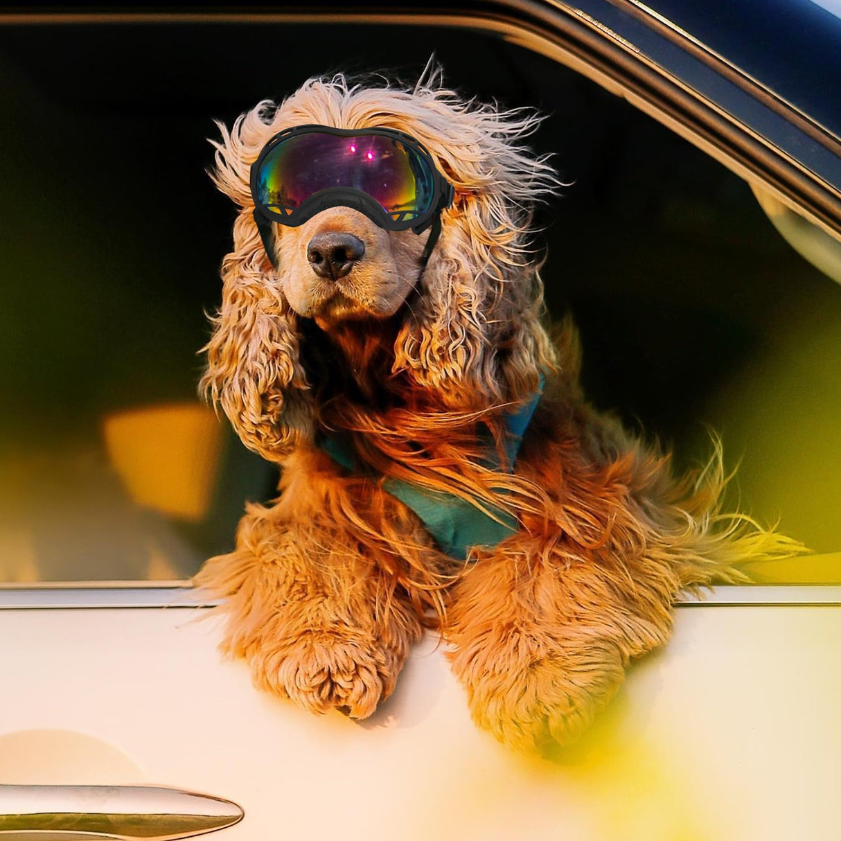 Dog Goggles for Large Dogs, UV Protection Dog Sunglasses, Adjustable Strap, Windproof、Dustproof、Anti-Fog Eye Protection Sunglasses for Large and Medium Dogs (Black Frame)