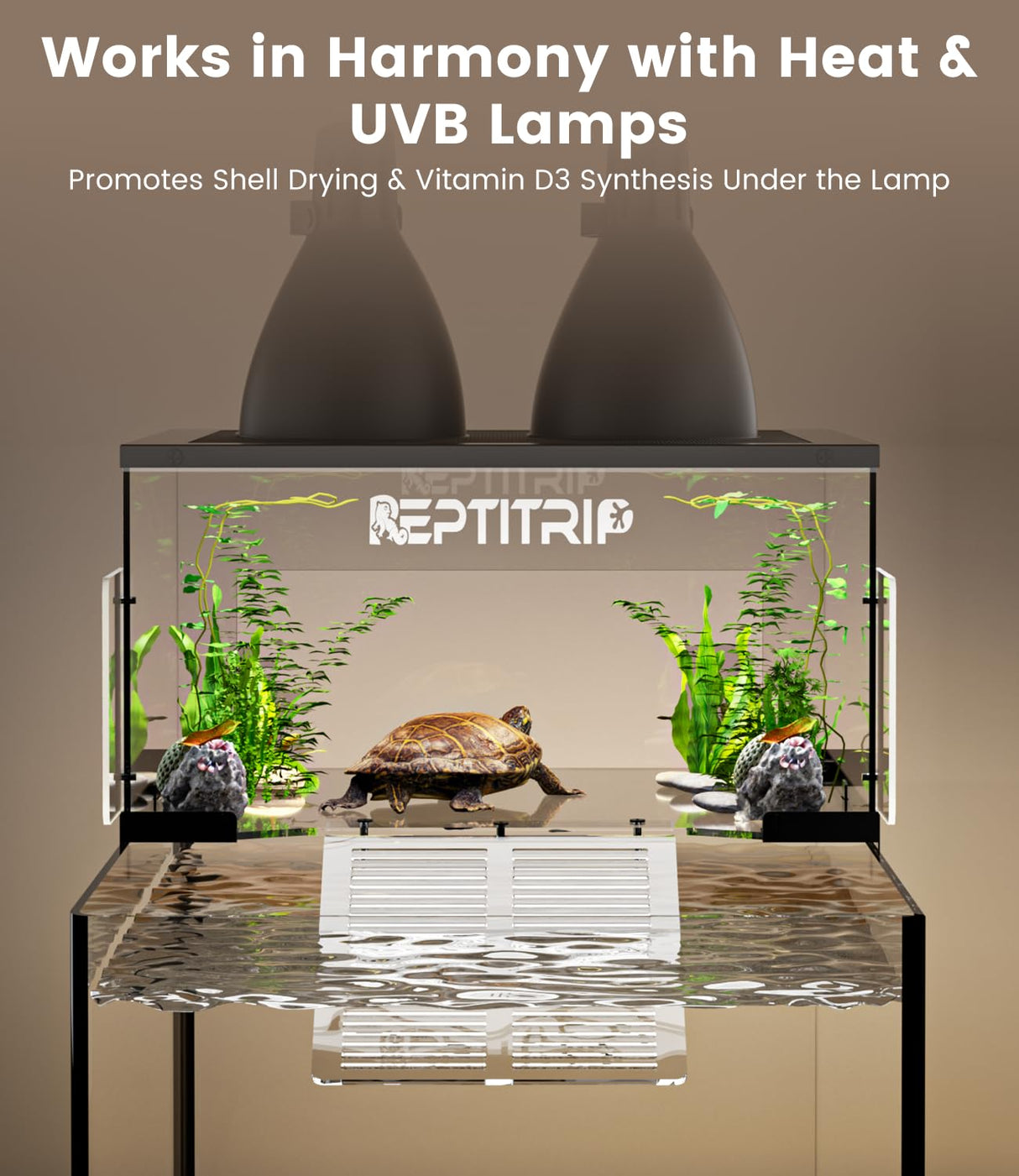 Turtle Basking Platform for 18-19 Inchs Wide Aquariums - Last Long Stainless Steel Supports & Mesh, Non-Slip Ramp for Aquatic Turtles, Turtle Tank Accessories (Extra Large)
