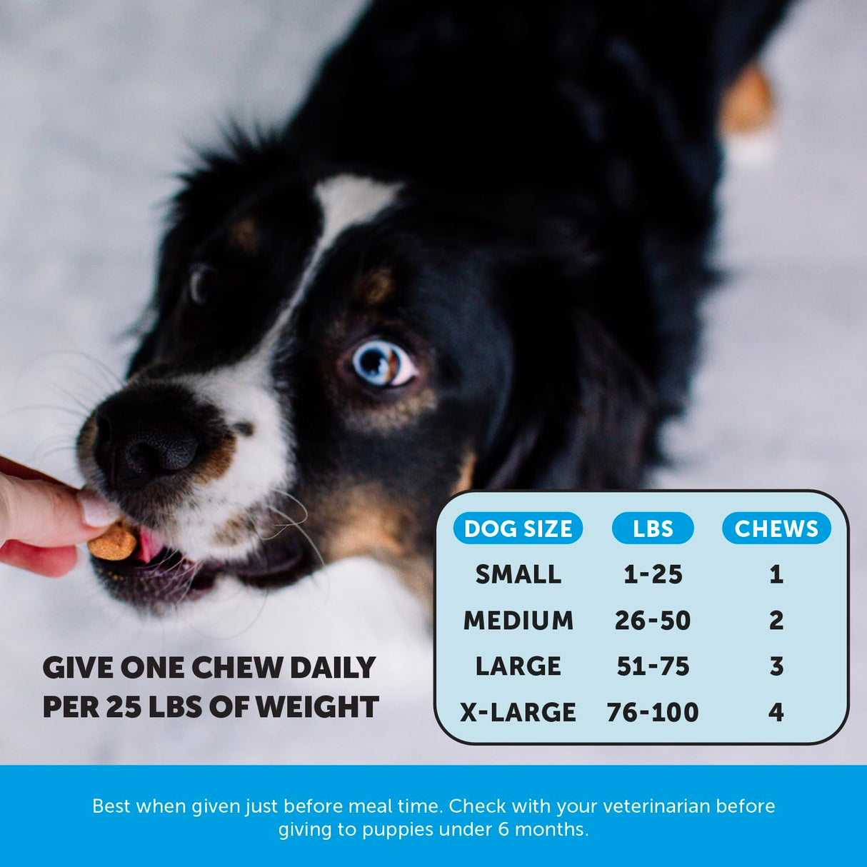 Pet Honesty Omega Skin Health Chews for Dogs, Alaskan Salmon Oil, Omega-3 Fish Oil, Krill, Spirulina, Omega-3s, Healthy Skin & Coat, Itchy Skin, Dog Allergies, May Reduce Shedding (90 Count)