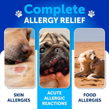 Load image into Gallery viewer, Dog Allergy Relief Chews - Itching Skin Relief for Dogs - Fish Oil - Omega 3 - Seasonal Allergies Pills - Skin & Coat, Anti Itch,Hot Spots Treatment - Canine Immune Health Supplement - 120 Soft Treats