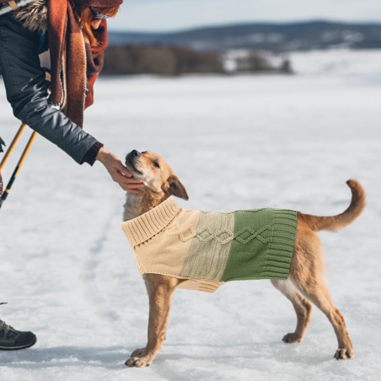 ASENKU Warm Dog Sweater for Small Medium Dogs,Pet Sweaters for Fall Winter Dog Clothing,Thicked Pullover Puppy Cat Turtleneck Sweater for Doggie Chihuahua Clothing