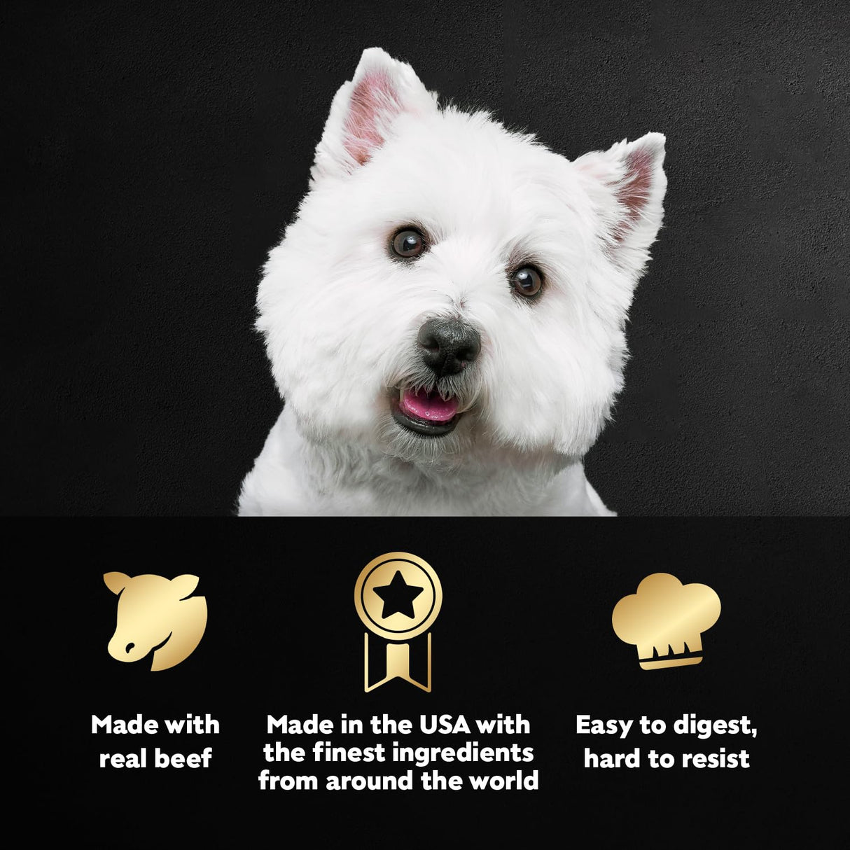 Cesar Wet Dog Food Steak Lovers Variety Pack, Adult, Wet Food for Dogs with Real Meat, 3.5 oz Easy Peel Trays, 36 Count