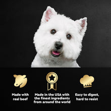 Load image into Gallery viewer, Cesar Wet Dog Food Steak Lovers Variety Pack, Adult, Wet Food for Dogs with Real Meat, 3.5 oz Easy Peel Trays, 36 Count