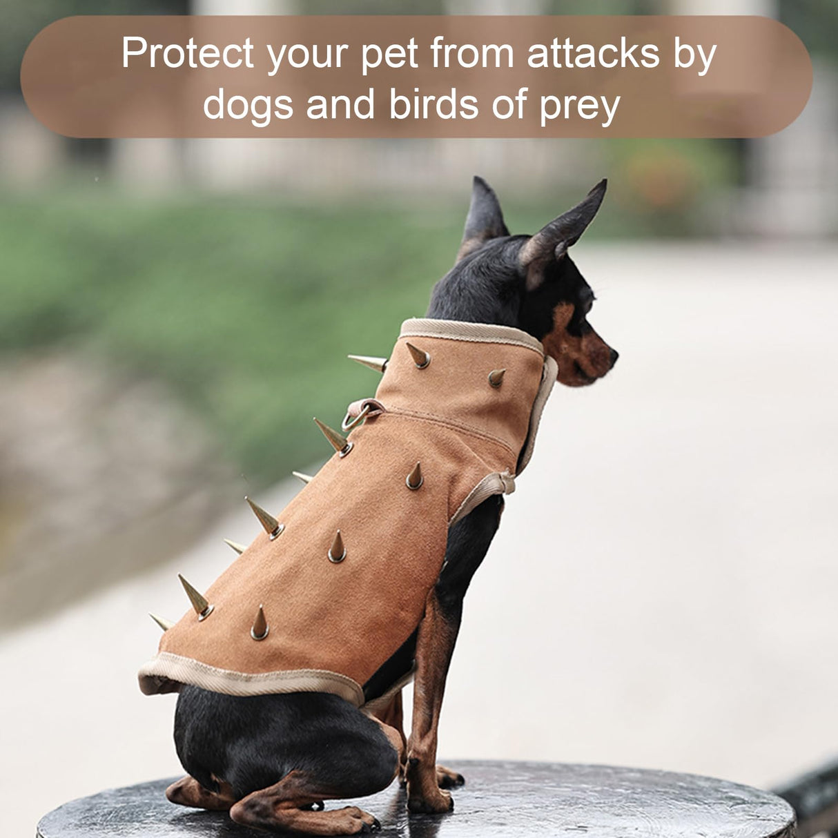 Dog Spike Vest,Coyote Vest,Dog Harness Coat with Removable Spikes,Anti Bite Winter Coat,Adjustable Pet Costume