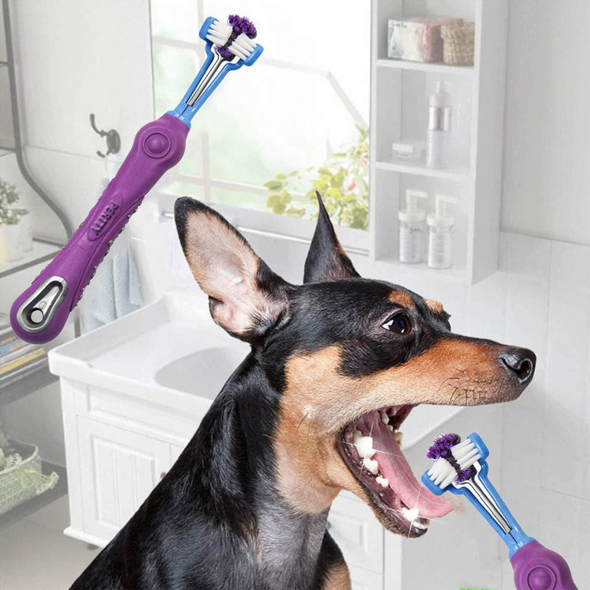 Orgrimmar 4 Pcs Three Sided Pet Toothbrush Dog Brush Addition Bad Breath Tartar Teeth Care Dog Cat Cleaning Mouth