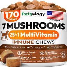 Load image into Gallery viewer, Turkey Tail Mushroom for Dogs - 170 Chews - Lion’s Mane - Shiitake - Reishi - Buddy Immune Support Guard - Mushroom Supplement for Dogs Lumps and Bumps Glucosamine, Health Vitamins Multivitamin