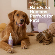 Load image into Gallery viewer, HICC PET Dog Eye Drops 5.1 fl oz Eye Drops for Dogs and Cats Vet-Recommended Dog Eye Infection Treatment to Soothe Infection Allergy, Relieve Dry Eyes Pink Eyes, Pet Tear Stain Cleaner