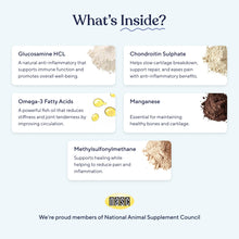 Load image into Gallery viewer, Pawfy Hip & Joint Supplement for Dogs with MSM & Vitamins | Glucosamine Chondroitin for Small, Medium & Large Breed - Supports Mobility & Bones | Glucosamine for Dogs with Omega 3-30 Chews