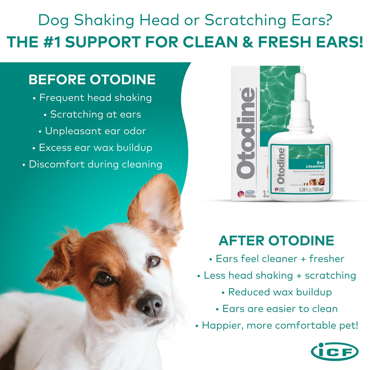 ICF Otodine Dog Ear Cleaner Solution - Veterinary Formula for Itchy Ears, Head Shaking & Scratching - Tris-EDTA Flush for Wax, Debris & Odor - Gentle & Safe for Cats & Puppies - 100ml