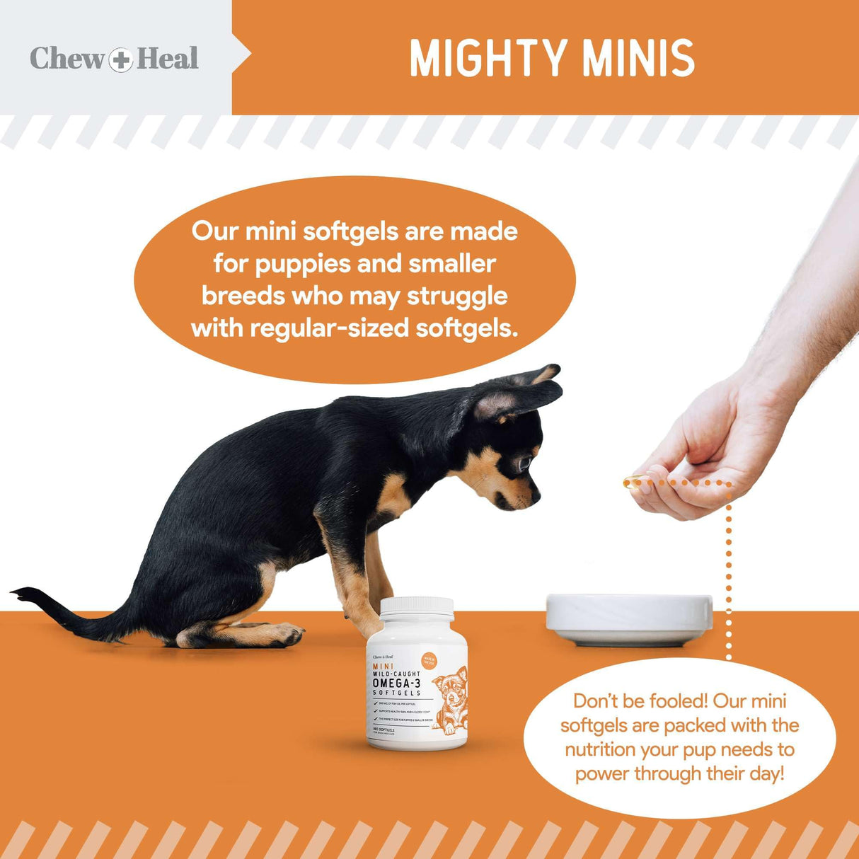 Wild Caught Omega 3 Fish Oil for Dogs - 180 Softgel Capsules for Healthy Skin and Coat - 300 mg Mini Dog Fish Oil Pills for Shedding, Dry Itching Skin, and Hot Spots - Pet Omega Salmon Supplement