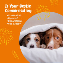 Load image into Gallery viewer, Zesty Paws Calming Chews for Dogs - for Everyday Stress, Relaxation, Composure, and Separation Turkey 90 Count