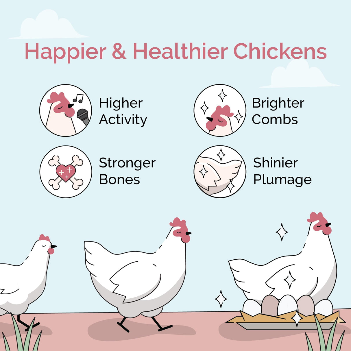 Mile Four Organic Chicken Feed – Layer Whole Grain, Non-GMO, USA Grown, 16% Protein, Corn-Free, Soy-Free, Non-Medicated Feed for Chickens, 2 lb Sample