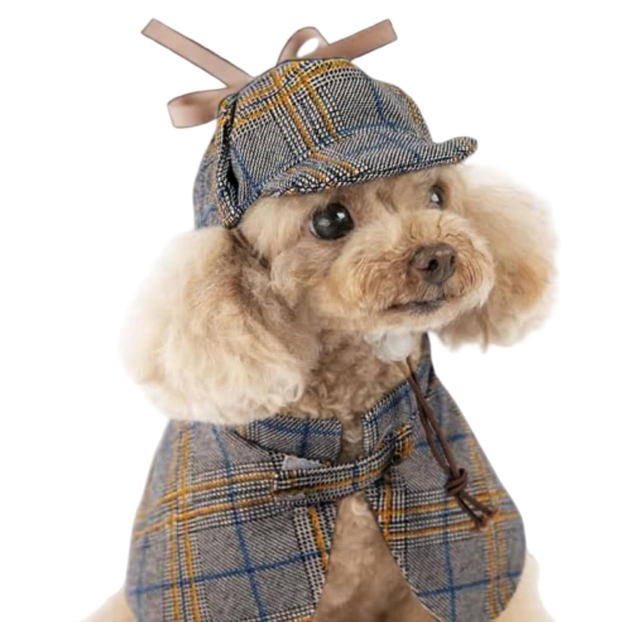 Dog Costume-Cute Detective Pet Clothes Set Halloween Cosplay Party Outfit Winter Fashion Cape Cloak Hat for Small Medium Dog & Cat Kitten (Rec wt.12-16lb Large)