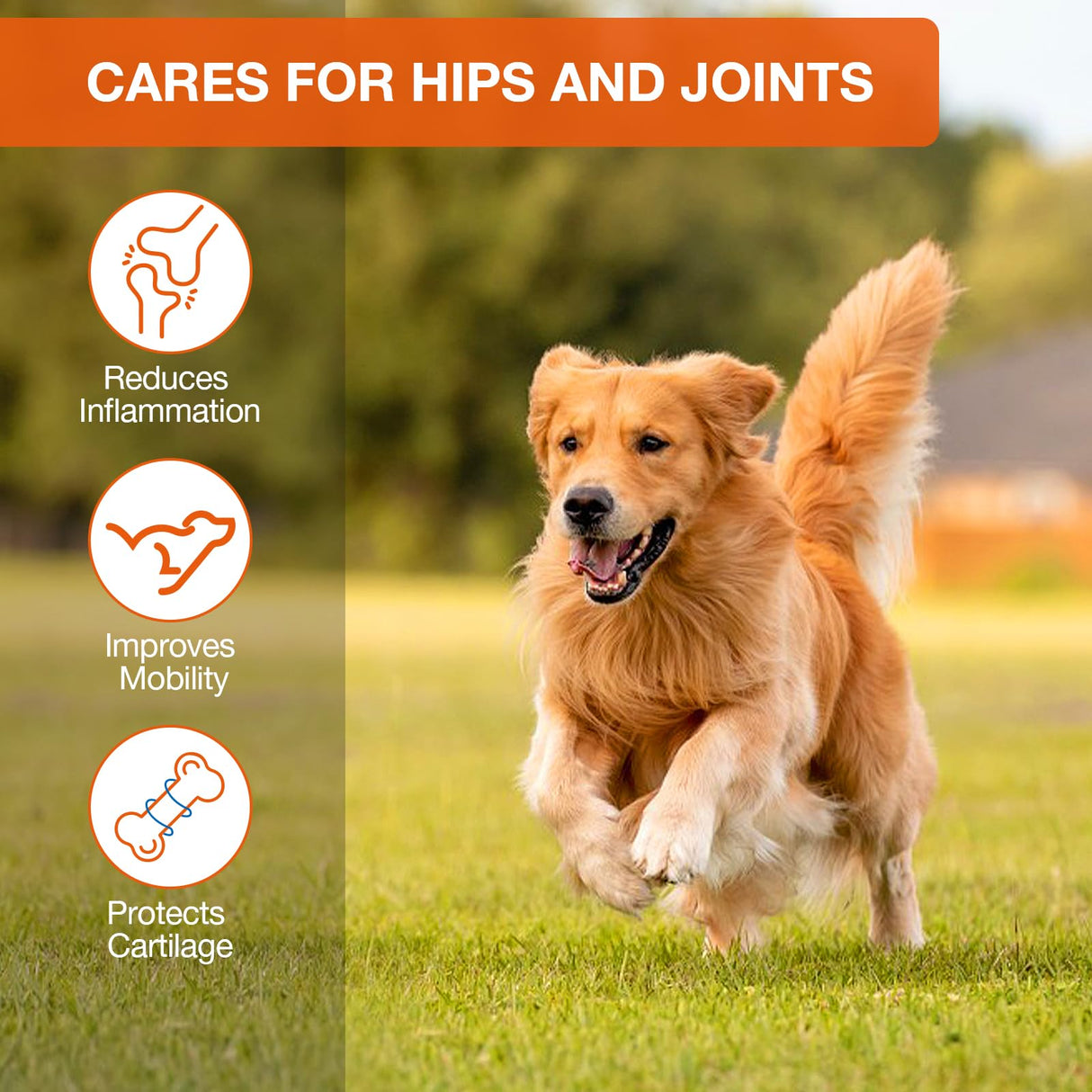 180 Counts Dog Calming Chews, B0G2QXXSBC, Anxiеty Rеlief Treats, Promote Rеlaxation, Dog Supplements for Thunderstorms, Separation, Strеss, Barking, B0G2QXXSBC
