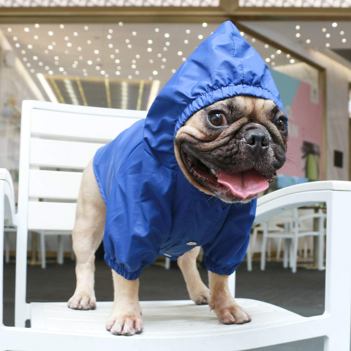 iChoue Dog Cold Weather Coats Water Resistant Raincoats Lightweight Windbreaker Hooded Jackets for French English Bulldog Pitbull Pug Boston Terriers Outdoor Rain Coat - Blue, X-Large
