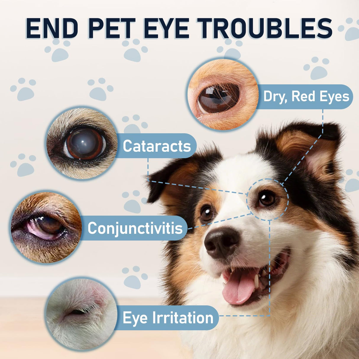 Dog & Cat Cataract Eye Drops & Infection Treatment β Vet-Recommended Formula for Cloudy, Itchy, Watery, Goopy Eyes and Pink Eye Treatment, Natural All-in-One Relief for Pet Eye Issues (2 X 10 ml)