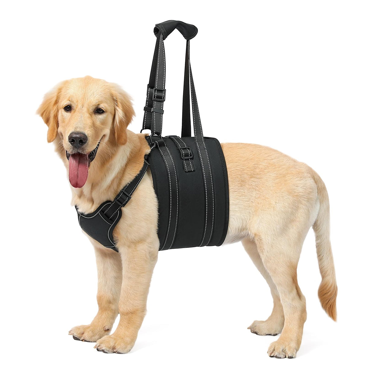 NOYAL Dog Lift Harness Sling - Adjustable Pet Carrier for Senior Dogs with Arthritis Joint Injuries, Emergency Support Rehabilitation Aid for Nail Trimming, Stairs Assistance