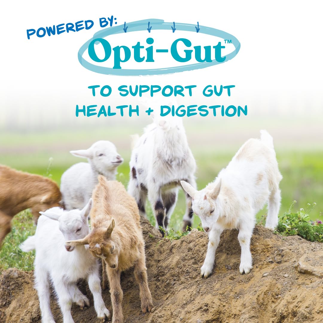 Manna Pro Nurse All Multi-Species Milk Replacer, Powered by Opti-Gut™ to Support Gut Health & Digestion, All-Milk Protein, Easy-To-Mix Formula, 8 Pounds