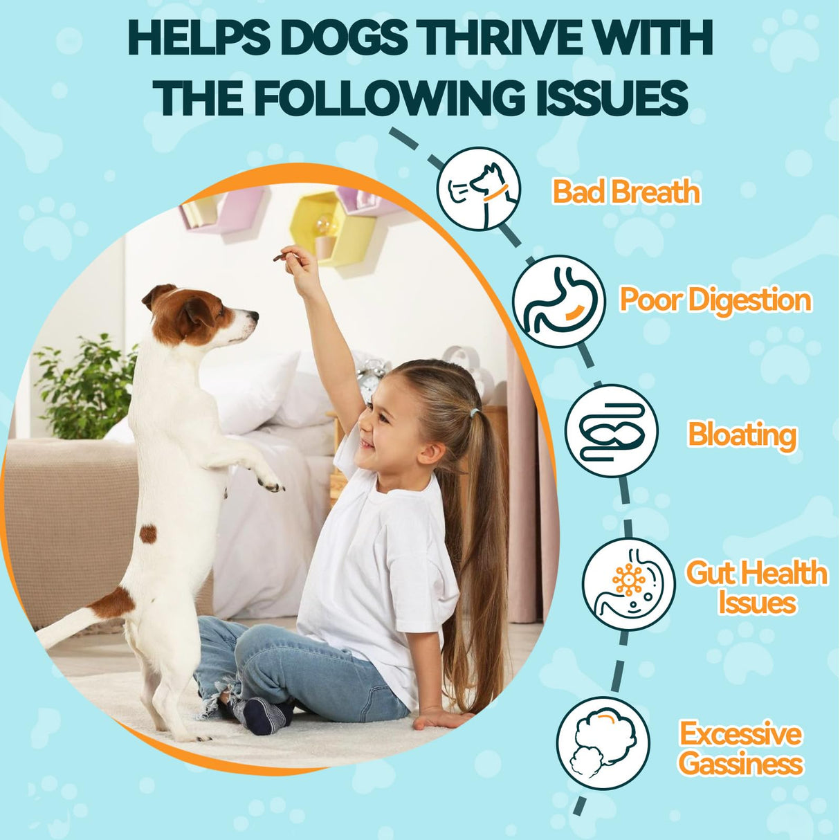 Carmelie Probiotics for Dogs, 200 Soft Chews Digestive Probiotics & Enzymes for Gut Health with Pumpkin, Fibre for Dogs Anti Diarrhea, Upset Stomach, Gas Relief, Itchy Skin & Immune Support (Chicken)