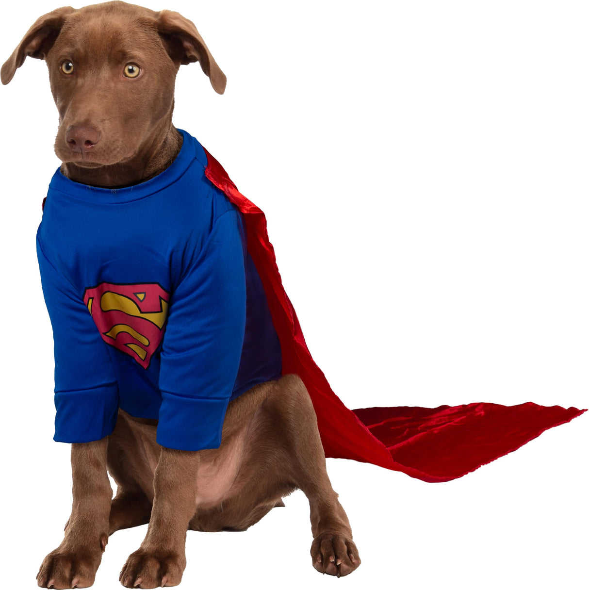 DC Comics Superheroes: Superman Pet Costume for For Dogs or Cats by Rubies, XL