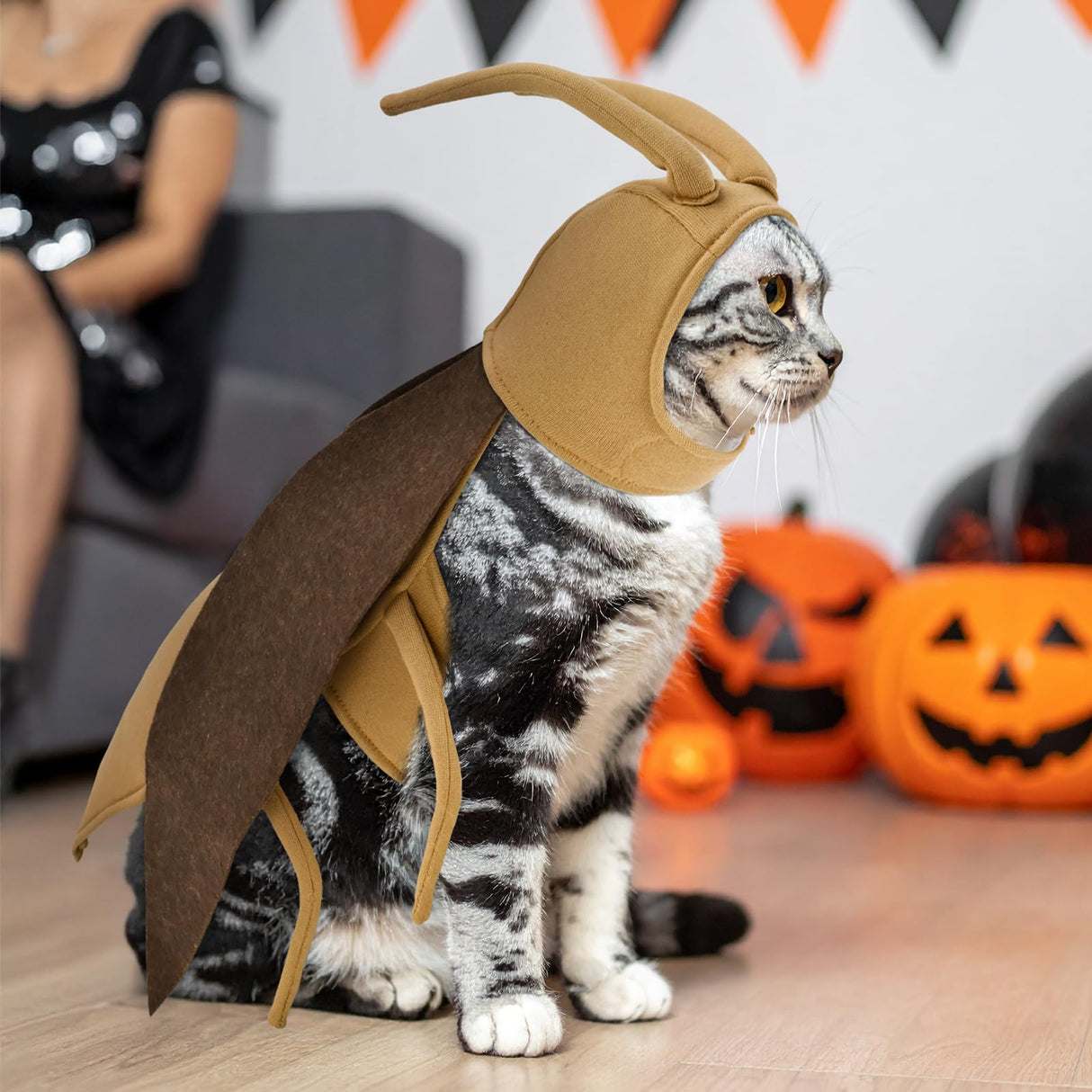 LyssKMK Halloween Puppy Cat Costume Dog Cockroach Shaped Outfits Pet Festival Cosplay Apparel for Small Dogs Cats